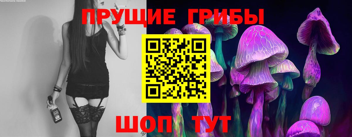 Псилоцибиновые грибы Cubensis Азнакаево