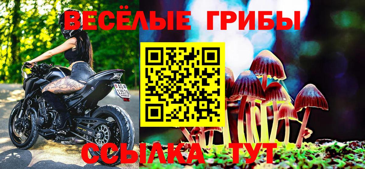 Псилоцибиновые грибы прущие грибы  Вход с VPN  Азнакаево 